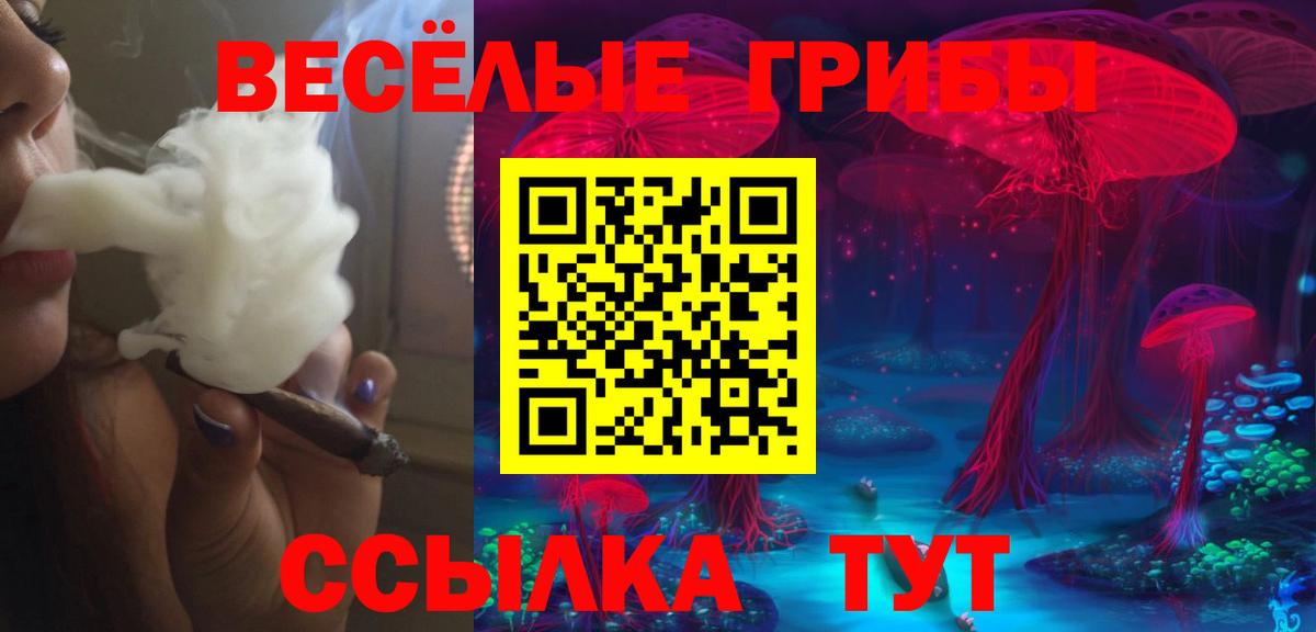 Псилоцибиновые грибы Cubensis Заринск