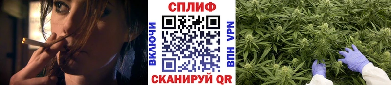 где купить наркоту  Заринск  Бошки Шишки тримм 